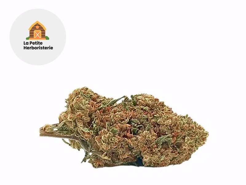Fleurs CBD Fleur Gelato CBDP Sous serre 22% La Petite Herboristerie