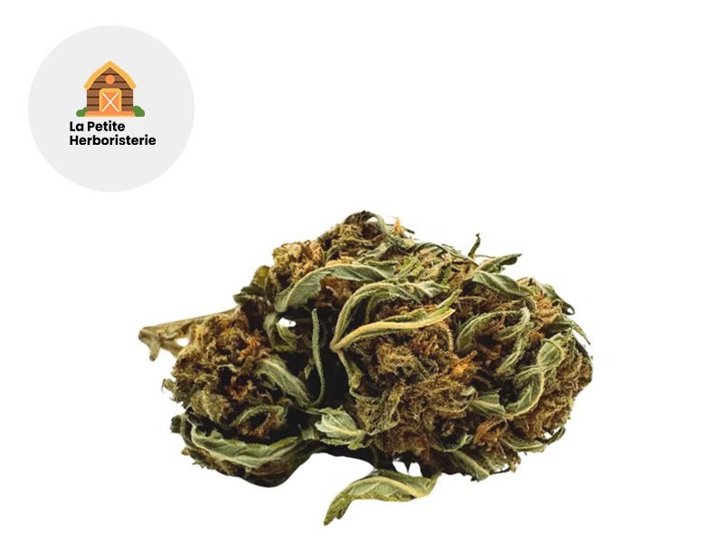 Fleurs CBD Fleur Green Power CBD Outdoor 7% La Petite Herboristerie