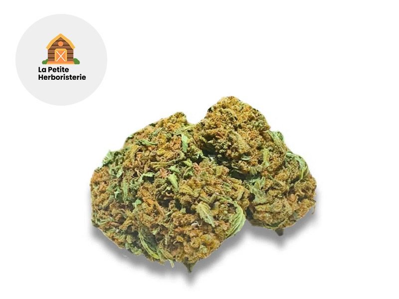 Fleurs CBD Fleur Harlequin Bretagne CBD Outdoor 11% La Petite Herboristerie