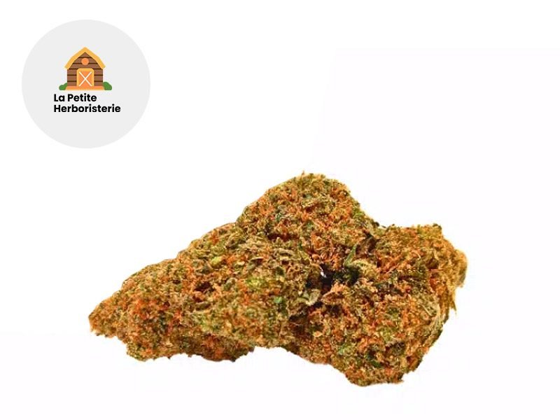 Fleurs CBD Fleur Jack Herer CBC Sous serre 22% La Petite Herboristerie