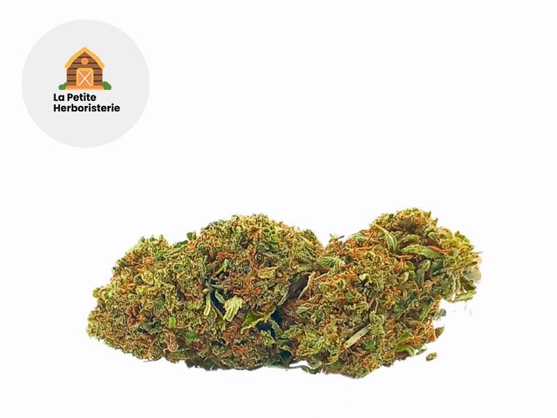 Fleurs CBD Fleur Jack Herer CBD THCA Sous serre 15% La Petite Herboristerie