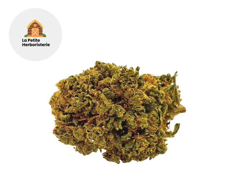 Fleurs CBD Fleur Jack Herrer CBD Sous serre 11% La Petite Herboristerie
