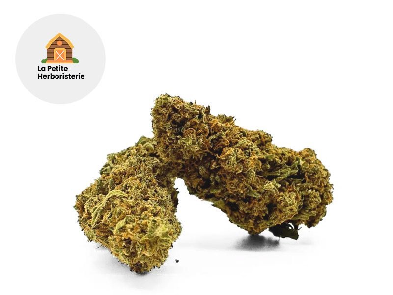 Fleurs CBD Fleur Jamaïcan Dream CBD Sous serre 11% La Petite Herboristerie