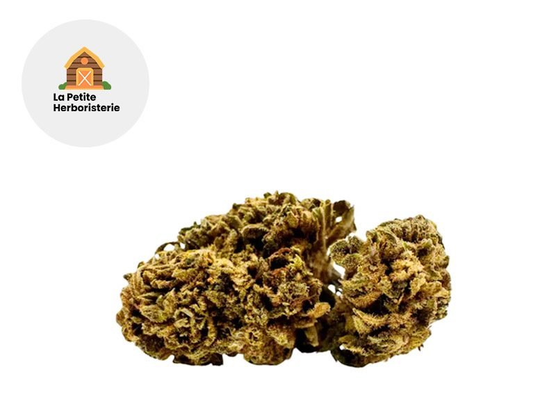 Fleurs CBD Fleur Lemon Haze RAF Sous serre 22% La Petite Herboristerie