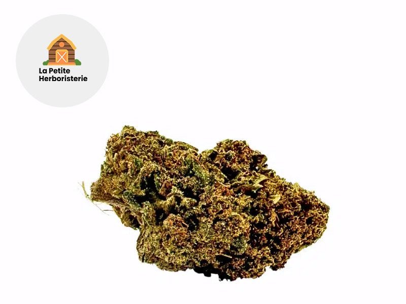 Fleurs CBD Fleur Mango Kush CBG Sous serre 22% La Petite Herboristerie