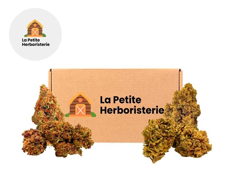 Fleurs CBD Fleur Mint Berry OG CBNo Sous serre 22% La Petite Herboristerie