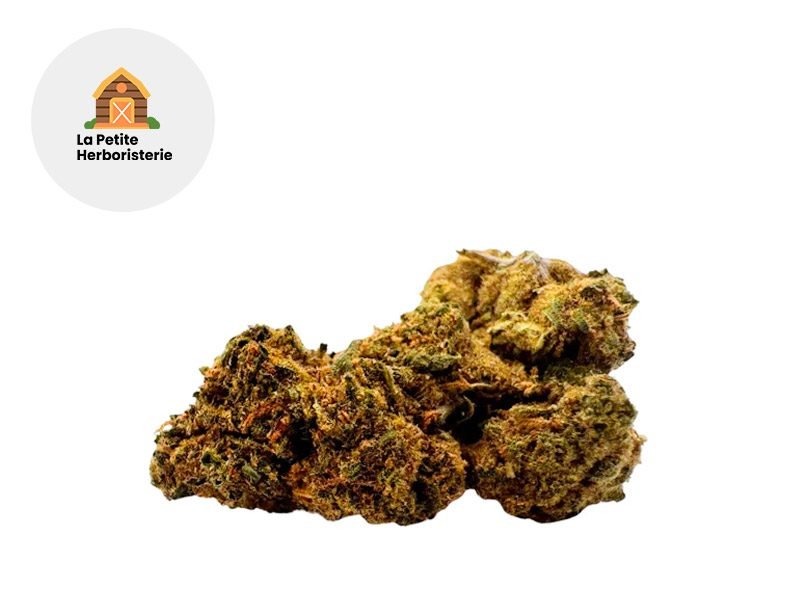 Fleurs CBD Fleur Muscimol THM Sous serre 22% La Petite Herboristerie