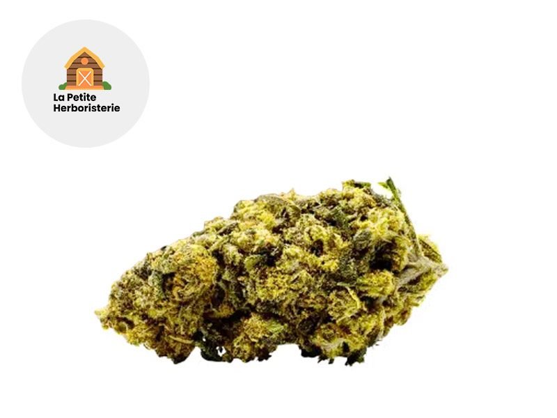 Fleurs CBD Fleur No Panic Zone THV+ Indoor 27% La Petite Herboristerie