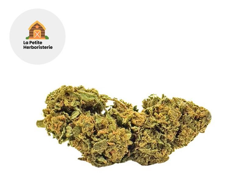 Fleurs CBD Fleur Northern Light CB9 Sous serre 17% La Petite Herboristerie