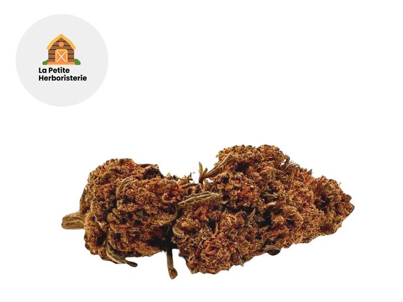 Fleurs CBD Fleur Orange Bud CBD Sous serre 11% La Petite Herboristerie