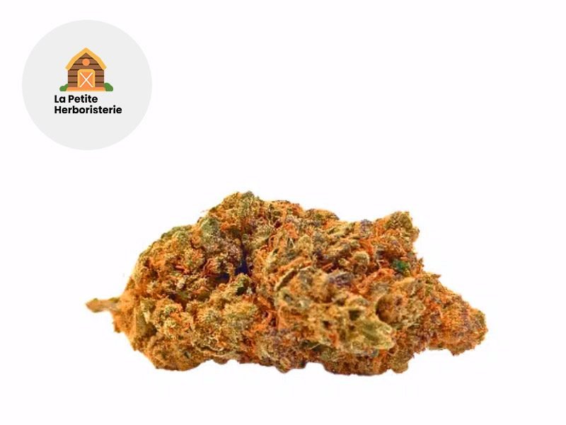 Fleurs CBD Fleur Orange Bud CBG Sous serre 17% La Petite Herboristerie