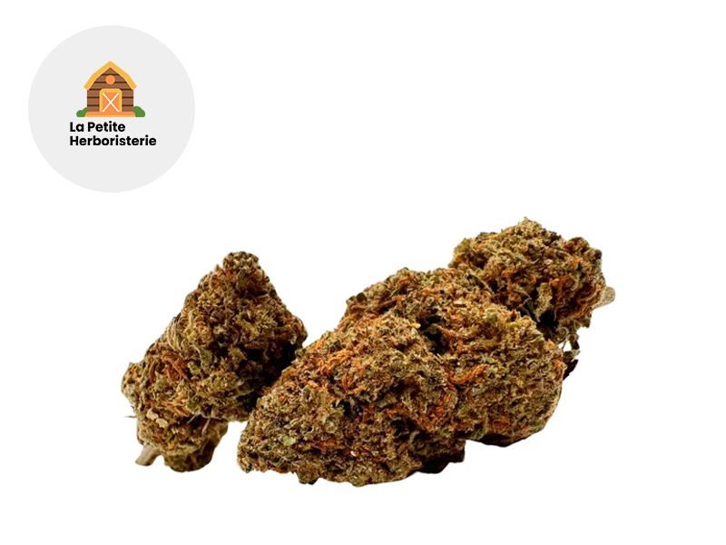 Fleurs CBD Fleur Orange bud RAF Sous serre 22% La Petite Herboristerie