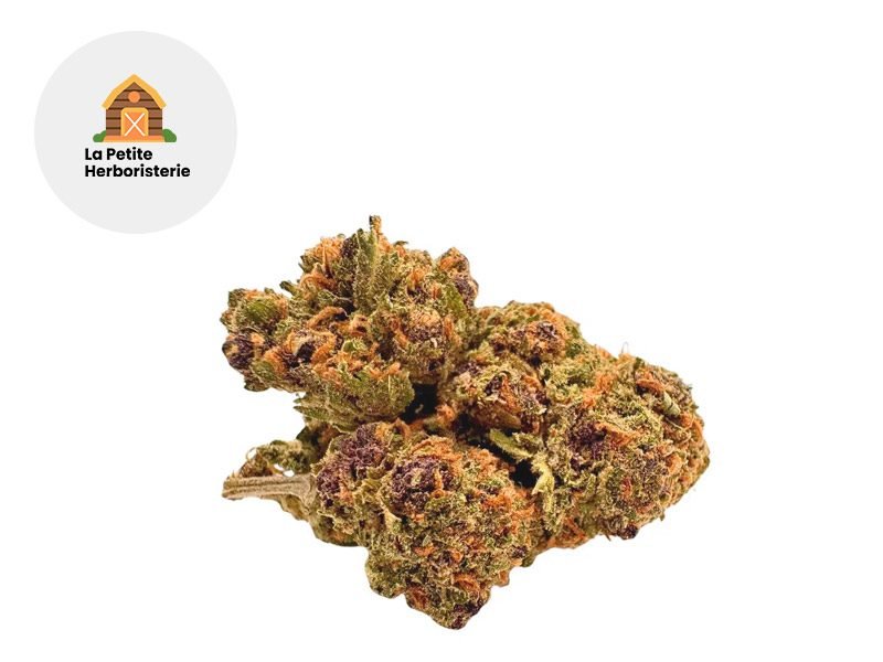 Fleurs CBD Fleur Purple CBD Indoor 20% La Petite Herboristerie