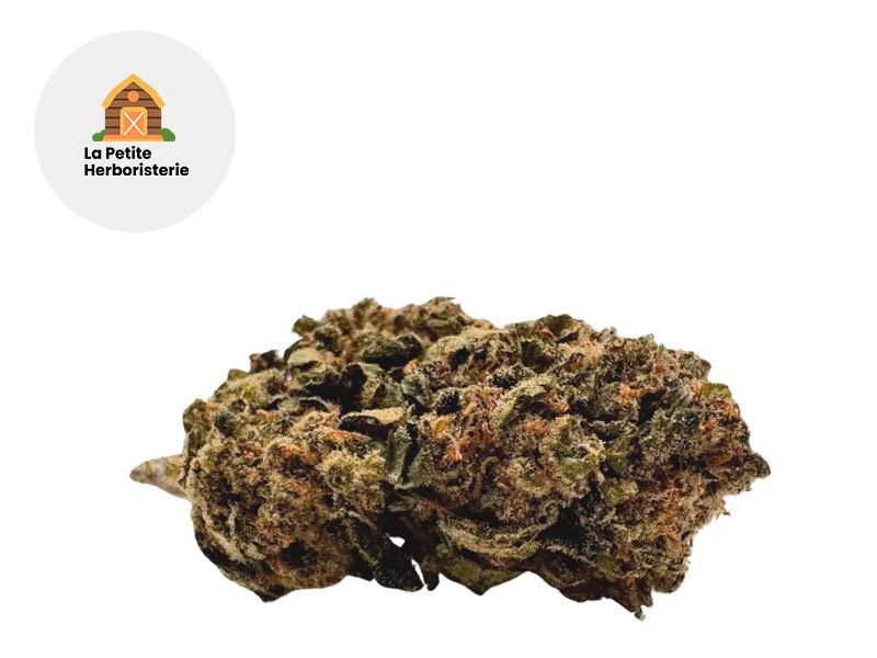 Fleurs CBD Fleur Remedy CBD Indoor 20% La Petite Herboristerie