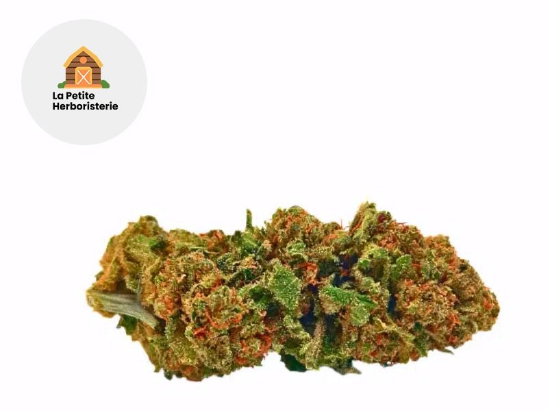 Fleurs CBD Fleur Sour Tangie CBN Sous serre 17% La Petite Herboristerie