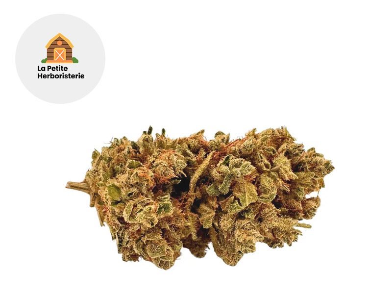 Fleurs CBD Fleur Tropical Haze CBD Indoor 20% La Petite Herboristerie