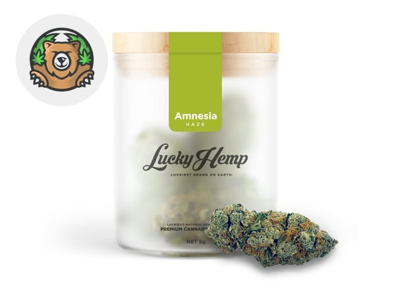 Fleurs CBD Fleur Amnesia Haze CBG Indoor 9% Lucky Hemp