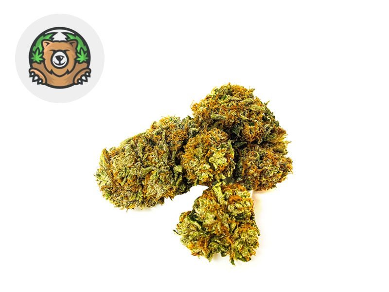 Fleurs CBD Fleur Mango CBG (recharge) Indoor 9% Lucky Hemp
