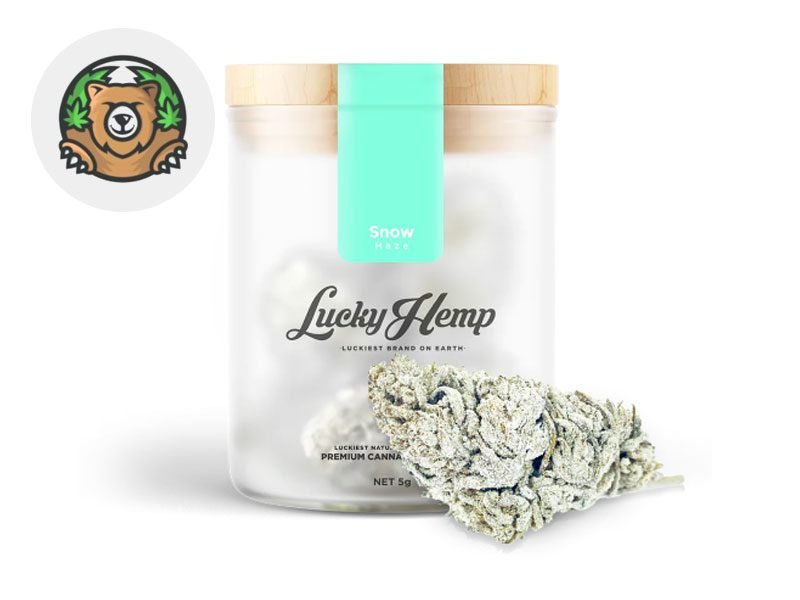 Fleurs CBD Fleur Snow Haze CBD Indoor 41% Lucky Hemp