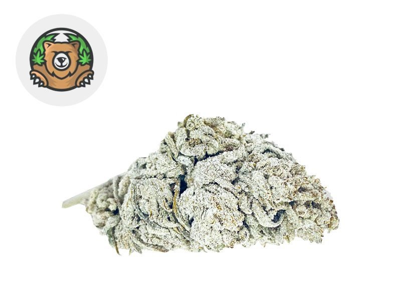 Fleurs CBD Fleur Snow Haze CBD (recharge) Indoor 41% Lucky Hemp