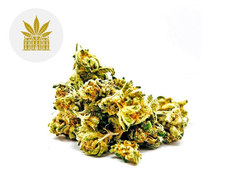 Fleurs CBD Fleur Lemon Grace CBD Indoor 8% Maison Nassoy Le Baron