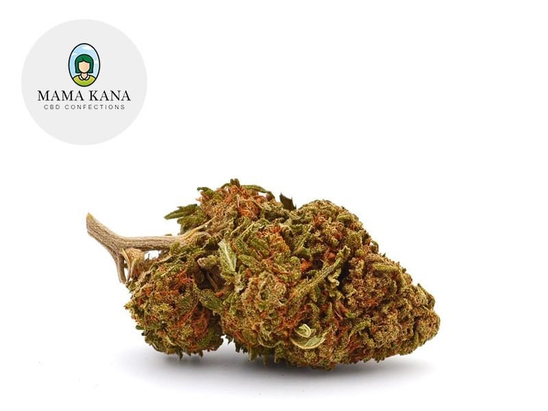 Fleurs CBD Fleur Blueberry CBD Sous serre 8% Mama Kana