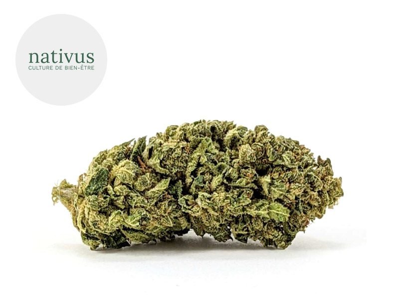 Fleurs CBD Fleur Candy Kush CBD Sous serre 5% Nativus