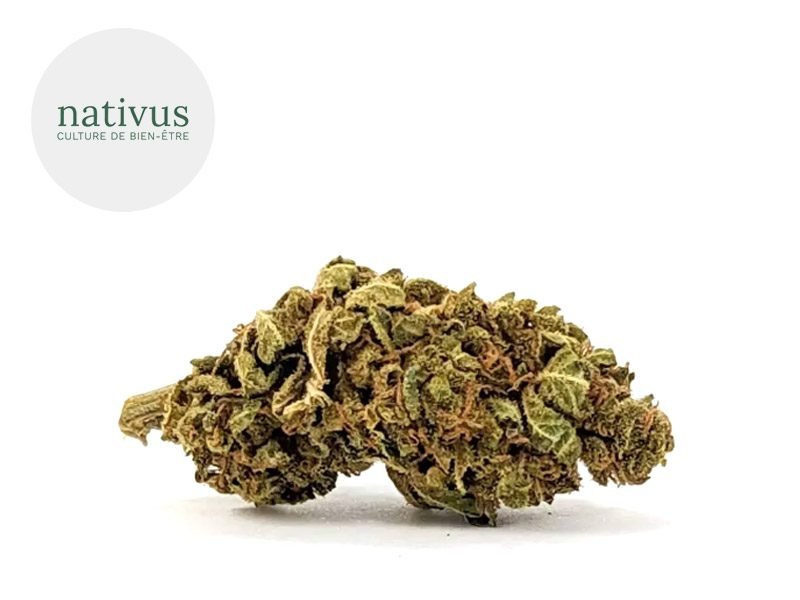 Fleurs CBD Fleur Cheese CBD Sous serre 4% Nativus