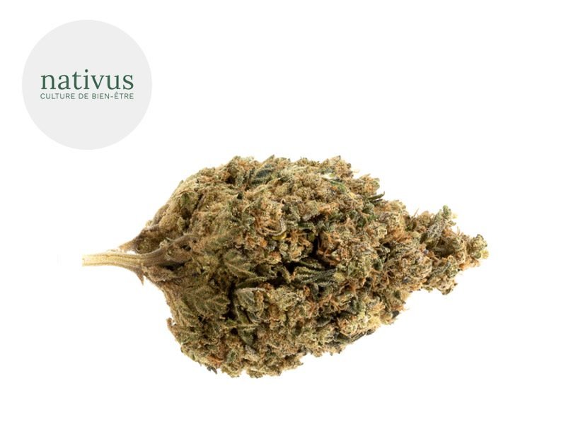 Fleurs CBD Fleur Jack Herer CBD Indoor 4.5% Nativus