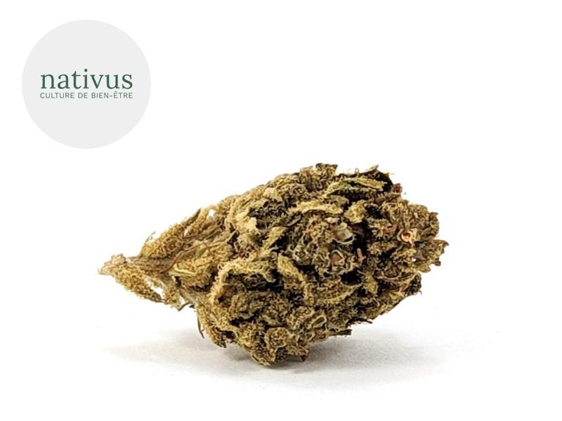 Fleurs CBD Fleur Mango CBD Sous serre 4.3% Nativus