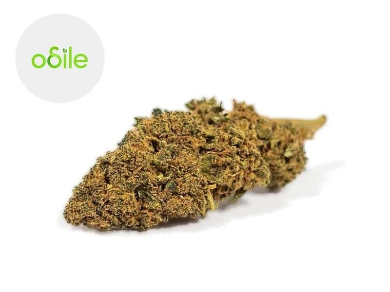 Fleurs CBD Fleur Black Diamond Kush CBD Indoor 1.7% Odile Green