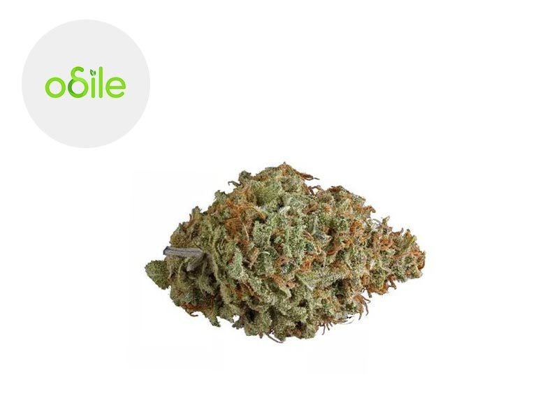 Fleurs CBD Fleur Cherry Berry CBD Indoor 7.8% Odile Green