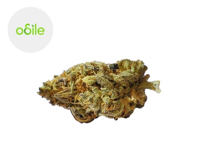 Fleurs CBD Fleur Gold Kush CBD Indoor 4.3% Odile Green