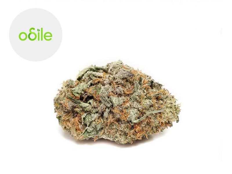 Fleurs CBD Fleur White Diamond Haze CBD Indoor 3.2% Odile Green