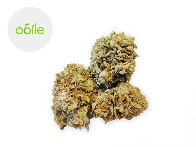Fleurs CBD Fleur White Widow CBG Indoor 7.5% Odile Green