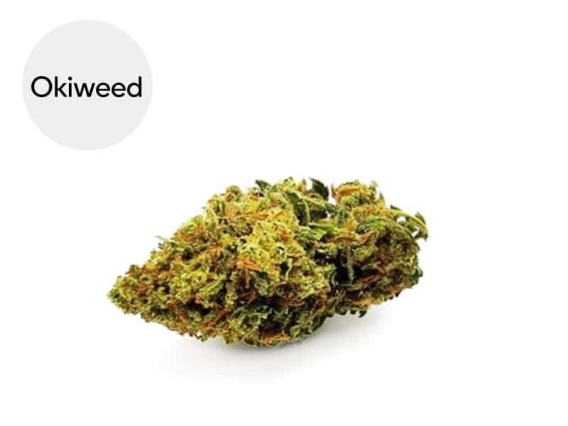 Fleurs CBD Fleur Bubble Gum CBD Sous serre 20% Okiweed