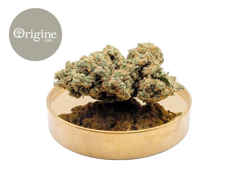 Fleurs CBD Fleur Lemon Berry CBD (Sans THC) Indoor 20% Origine CBD