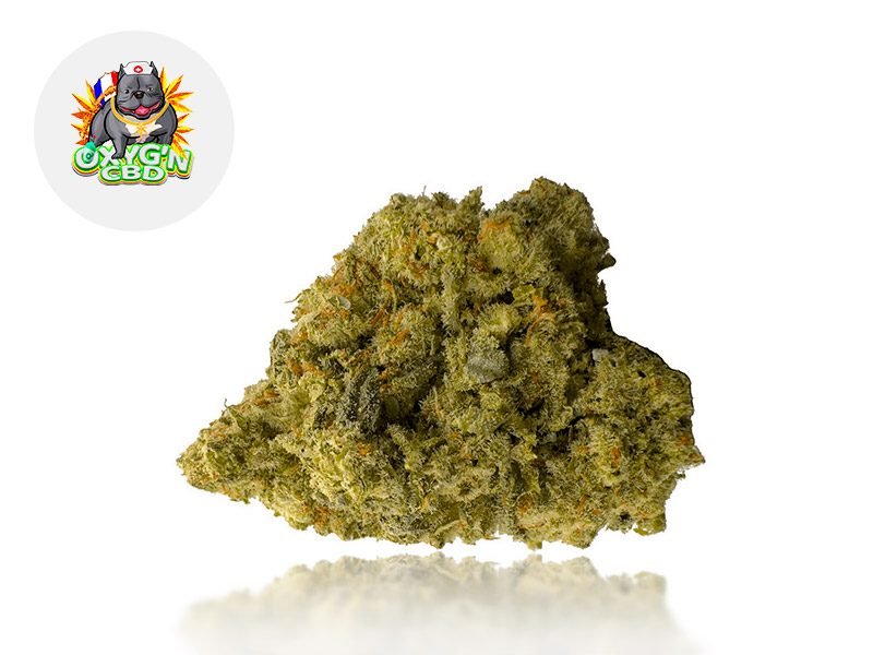 Fleurs CBD Fleur Girl scout cookie CBD Indoor 14.2% Oxyg'N CBD