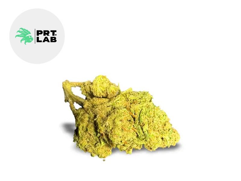 Fleurs CBD Fleur Floki CBD Indoor 10% PRT Lab