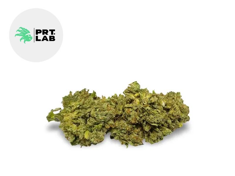 Fleurs CBD Fleur HPI CBD Indoor 10% PRT Lab