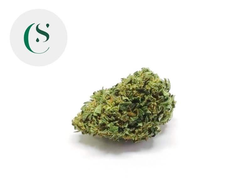 Fleurs CBD Fleur Cherry CBD Sous serre 7% Saveurs CBD