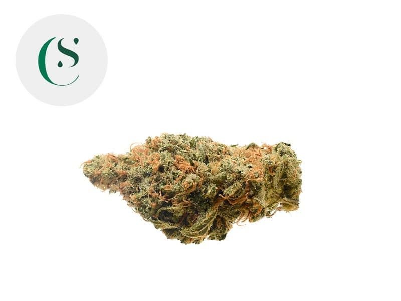 Fleurs CBD Fleur Lemon Haze CBD Indoor 9% Saveurs CBD