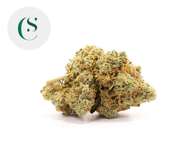 Fleurs CBD Fleur Pineapple Express CBD Sous serre 7% Saveurs CBD