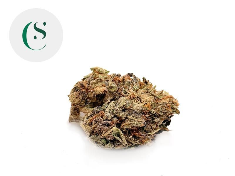 Fleurs CBD Fleur Sky Purple CBD Sous serre 7% Saveurs CBD
