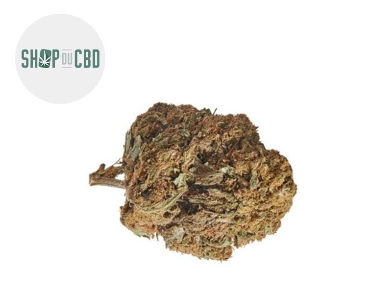 Fleurs CBD Fleur AK-47 CBD Sous serre 22.8% Shop du CBD