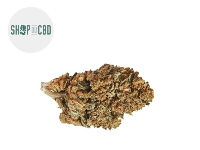 Fleurs CBD Fleur Amnesia Haze CBD Sous serre 25.7% Shop du CBD