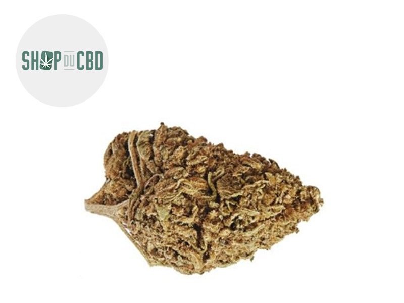 Fleurs CBD Fleur Gorilla Glue CBD Sous serre 22.5% Shop du CBD