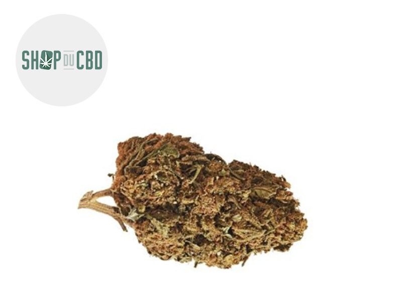 Fleurs CBD Fleur Orange Bud CBD Sous serre 23.8% Shop du CBD