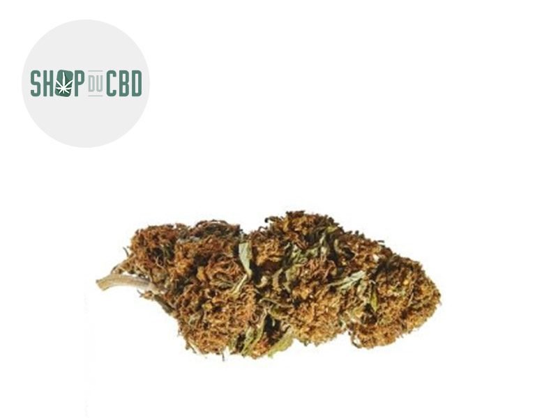 Fleurs CBD Fleur Super Skunk CBD Sous serre 24.3% Shop du CBD