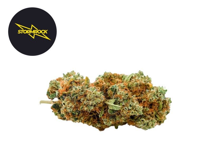 Fleurs CBD Fleur Gelato CBD Indoor 13.8% Stormrock